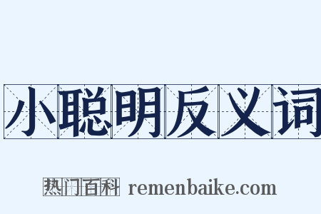 小聪明反义词是什么意思的图片